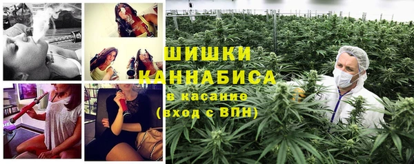 mdpv Новодвинск