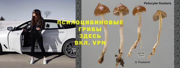бошки Новокубанск