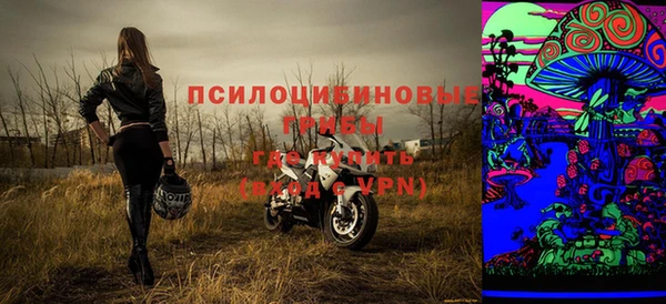 mdpv Новодвинск