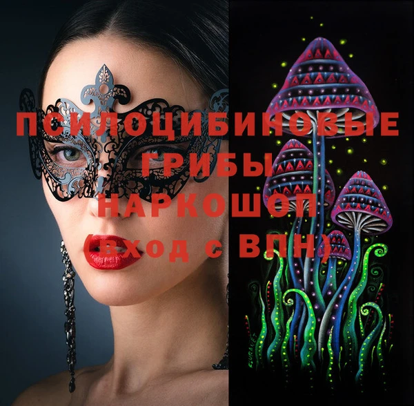 mdpv Новодвинск