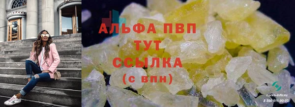 mdpv Новодвинск