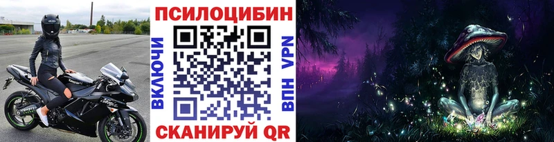 Купить где  Николаевск  Псилоцибиновые грибы Cubensis 